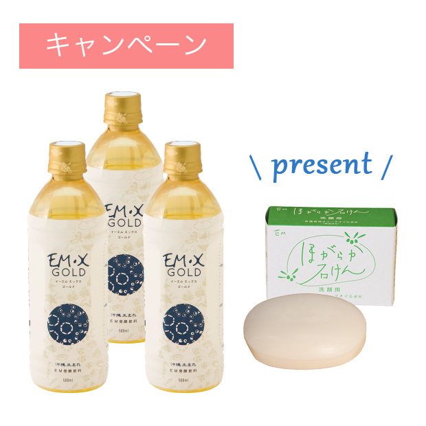 EMXゴールド 新品未開封 500ml 3本セット EMX GOLD ic.sch.id