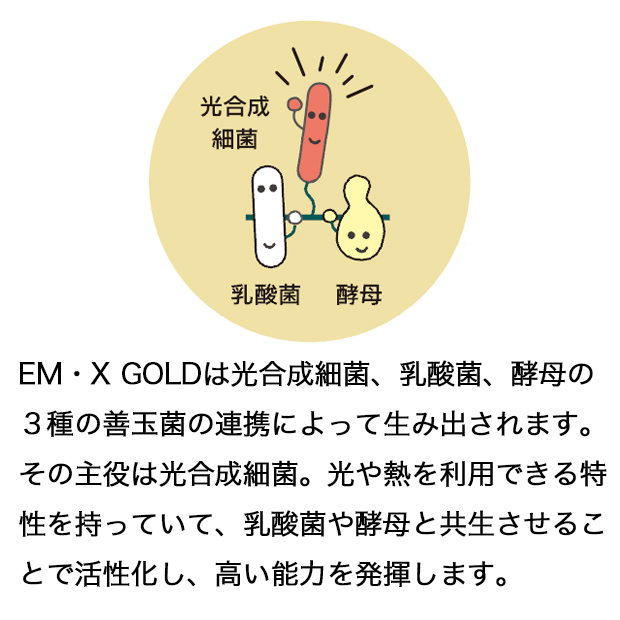 EM・X GOLD（イーエムエックスゴールド） 500ml - EM生活公式オンラインショップ