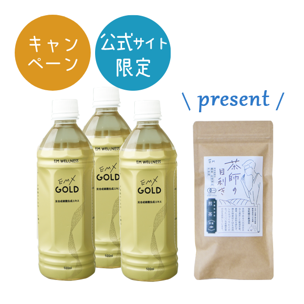 【キャンペーン】EMX GOLD 500ml×3本（茶師の目利き煎茶＜新茶＞100gプレゼント）