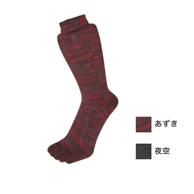【EMソックス】5本指レギュラーソックス「 彩（いろどり）」24-27cm