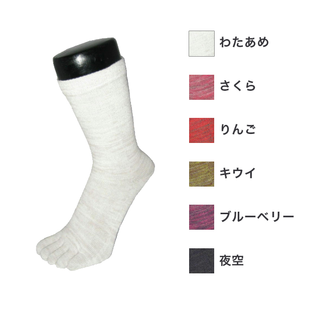 【EMソックス】5本指レギュラーソックス「 彩（いろどり）」22-24cm