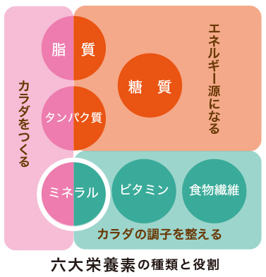 六大栄養素の種類と役割