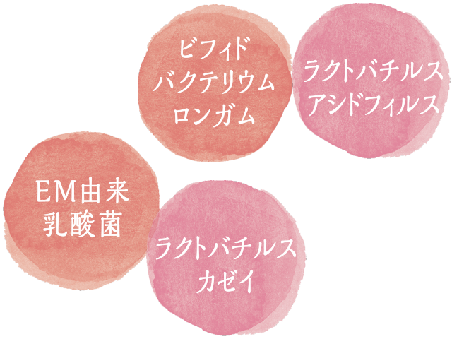 4種乳酸菌