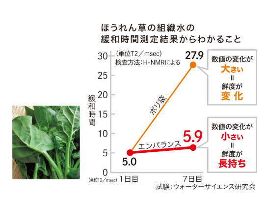 ほうれん草の組織水の緩和時間測定結果