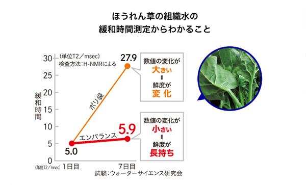 ほうれん草の組織水の緩和時間測定結果