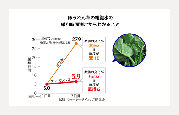エンエンバランス実験2 鮮度