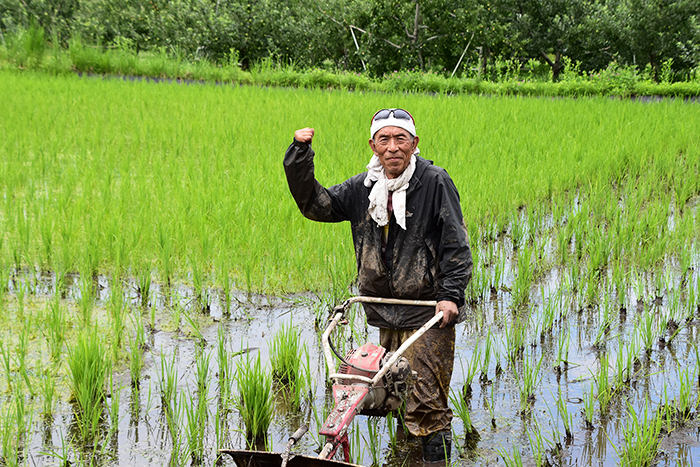 産地の写真