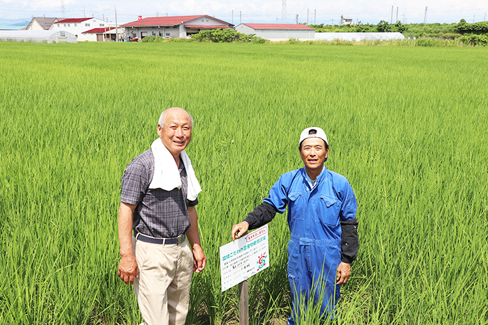 産地の写真