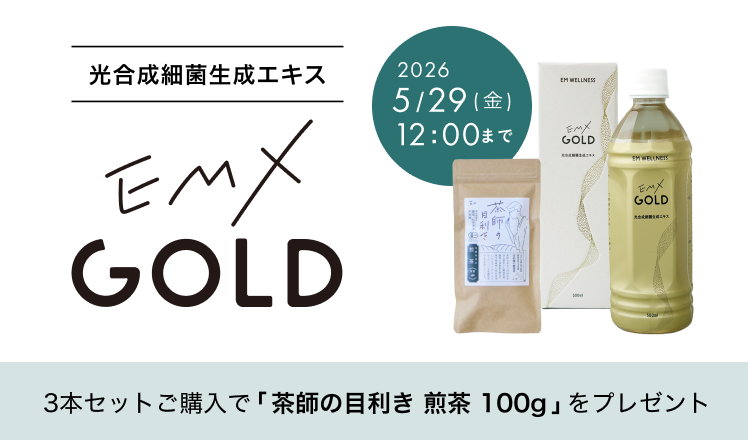 キャンペーン】EMX GOLD 500ml×3本（茶師の目利き煎茶＜新茶＞100g