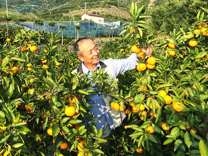 生産者写真